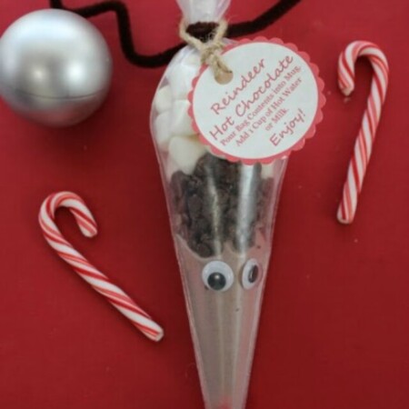 cropped-reindeerhotchocolatediygift.jpg