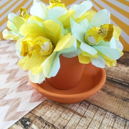 cropped-sucker-bouquet-2.jpg