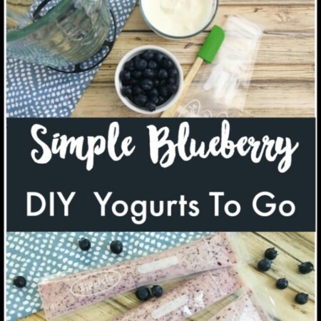 cropped-diy-blueberry-gogurt.jpg