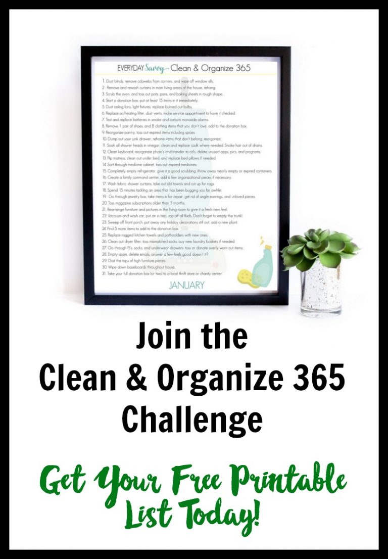 Clean and Organize 365 – February - Everyday Savvy