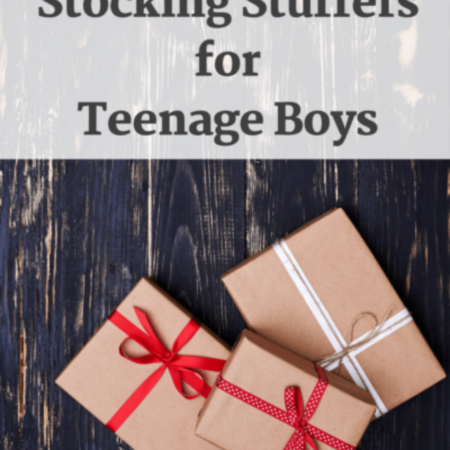 cropped-Cool-Stocking-Stuffers-for-Teenage-Boys-EverydaySavvy-e1604641756743.png