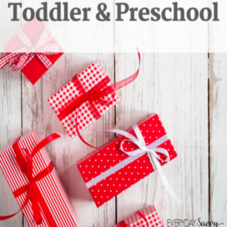 cropped-Fun-Gift-Idea-for-Girl-Toddler-Preschool-EverydaySavvy-e1607060399238.png
