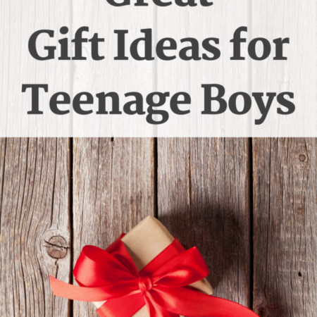 cropped-Great-Gift-Ideas-Teen-Boy-Teenage-Boys-Gift-Ideas-EverydaySavvy.png