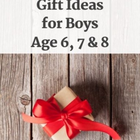 cropped-Great-Gift-Ideas-for-Boys-6-7-and-8-Boy-Gift-Idea-Age-6-7-8-EverydaySavvy-1.jpg