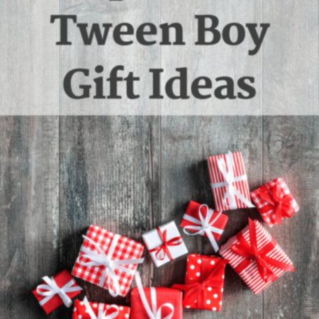 cropped-Super-Fun-Tween-Boy-Gift-Ideas-EverydaySavvy-e1607577127461-1.png